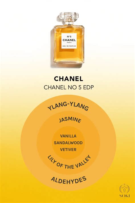 What Aldehydes Are in Chanel No. 5: A Deep Dive Into the Iconic 